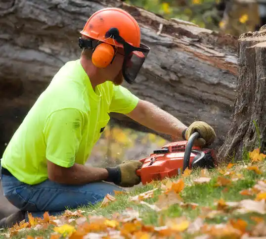 tree services Union Bridge